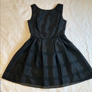 The Limited LBD Fit and Flare Sheer Strips Princess Seams Dress- Size 10